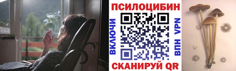 Псилоцибиновые грибы ЛСД  Звенигово 